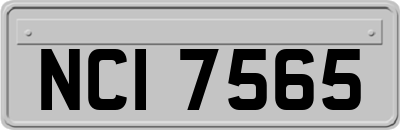NCI7565