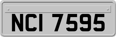 NCI7595