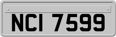 NCI7599