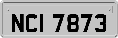 NCI7873