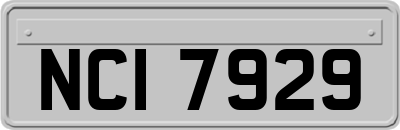 NCI7929
