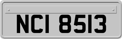 NCI8513