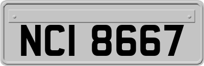 NCI8667