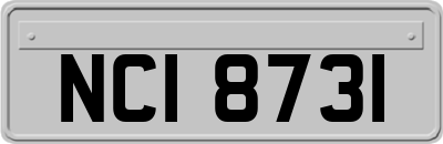NCI8731