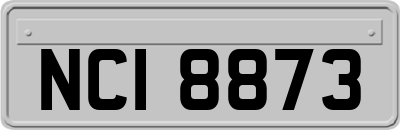 NCI8873