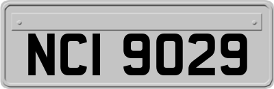 NCI9029