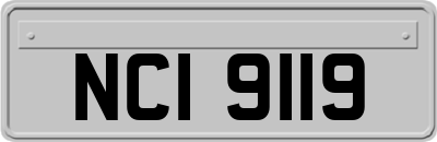 NCI9119
