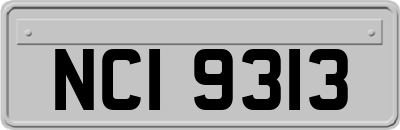NCI9313