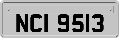 NCI9513
