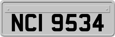 NCI9534