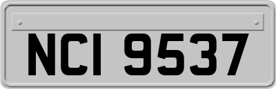 NCI9537