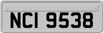 NCI9538