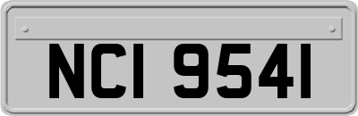 NCI9541