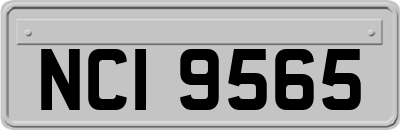 NCI9565