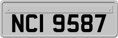 NCI9587