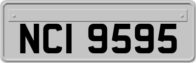 NCI9595