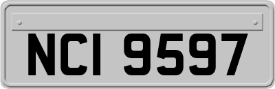 NCI9597