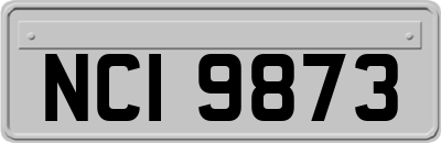 NCI9873