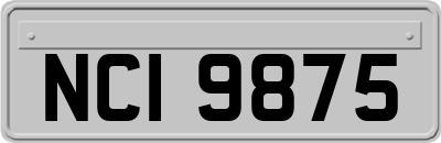 NCI9875