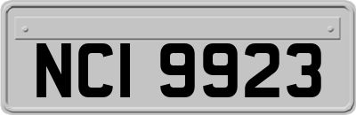 NCI9923