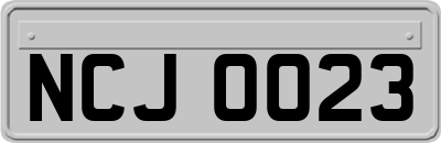 NCJ0023