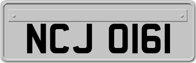 NCJ0161