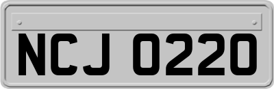 NCJ0220