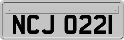 NCJ0221