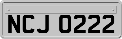NCJ0222