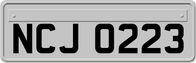 NCJ0223