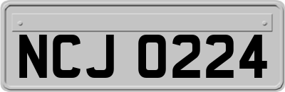 NCJ0224