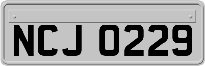 NCJ0229