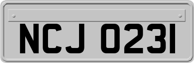 NCJ0231