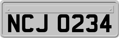 NCJ0234