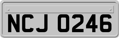 NCJ0246