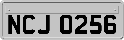 NCJ0256