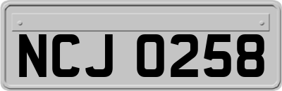 NCJ0258