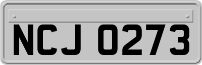 NCJ0273