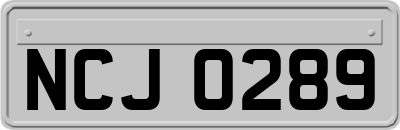 NCJ0289