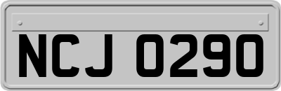 NCJ0290