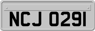 NCJ0291