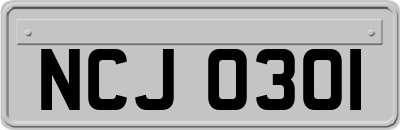 NCJ0301