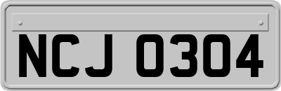 NCJ0304
