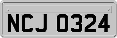 NCJ0324