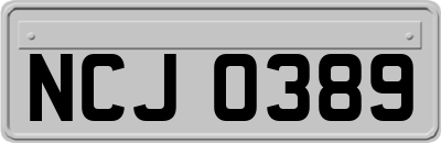 NCJ0389