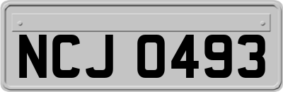 NCJ0493
