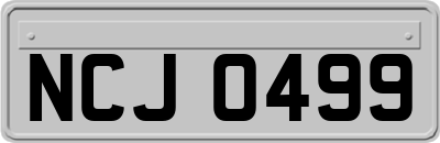 NCJ0499