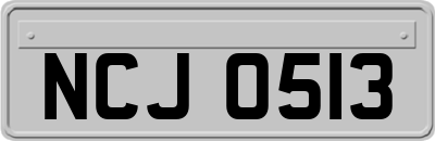 NCJ0513