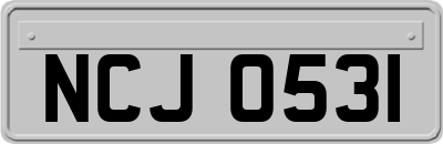 NCJ0531