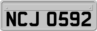 NCJ0592